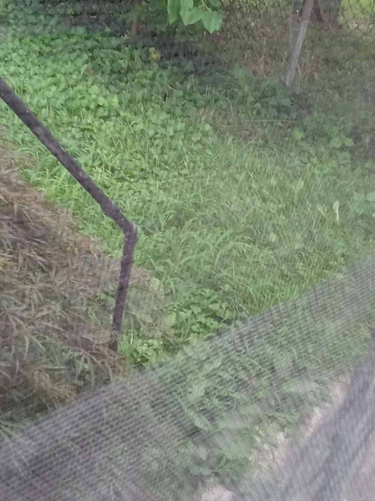 Trusted outdoor landscaping near you across Baltimore, MD - Lawn Love Lawn Care