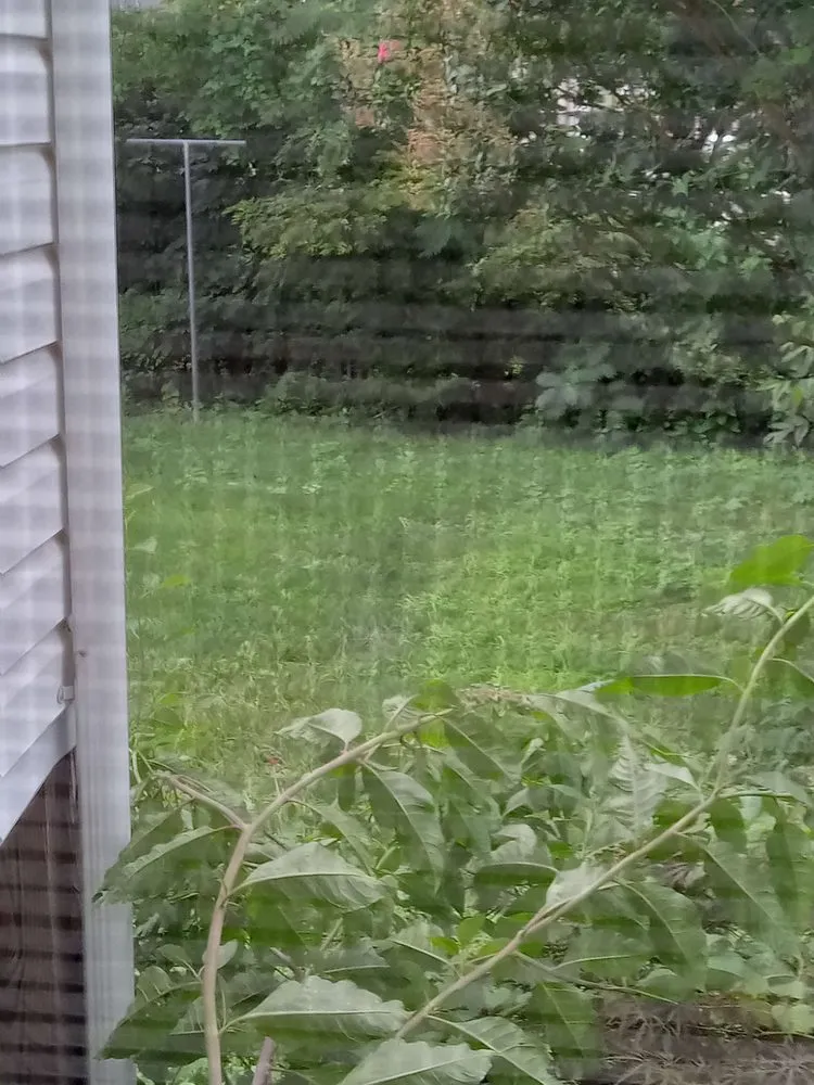 Affordable landscape design in Baltimore, MD - Lawn Love Lawn Care