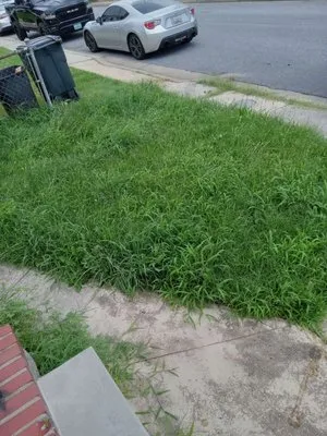 Lawn Love Lawn Care Logo