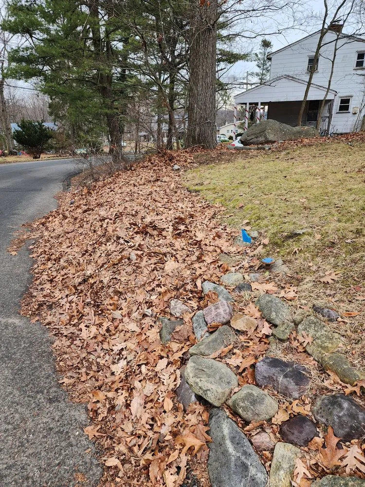 Expert lawn mowing service in Bergenfield, NJ by Lawn Love Lawn Care