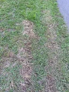 Expert landscape installation with custom design across Birmingham, AL - Lawn Love Lawn Care