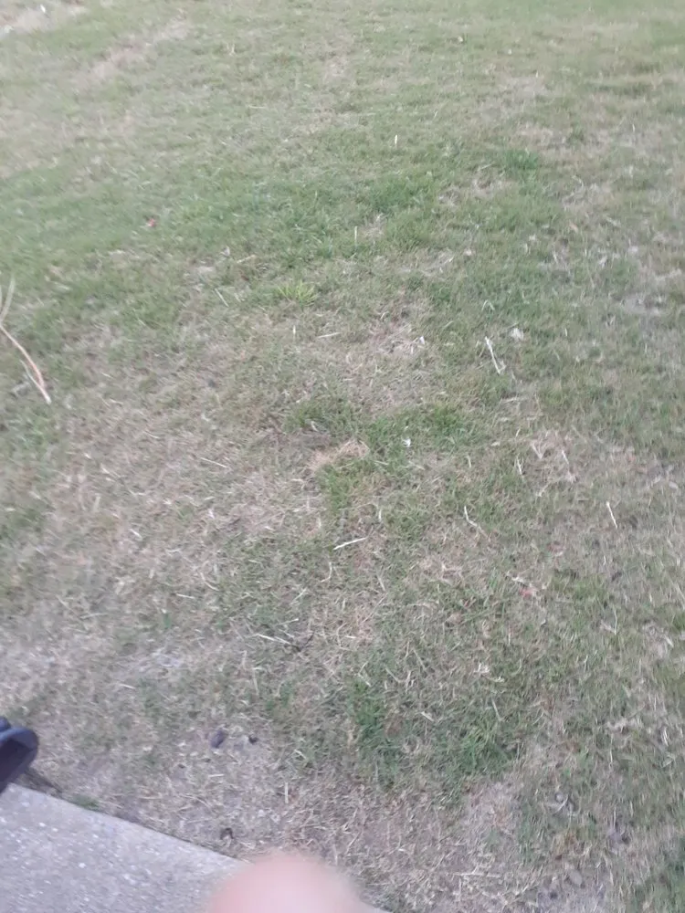 Local landscape design for year-round maintenance across Birmingham, AL - Lawn Love Lawn Care