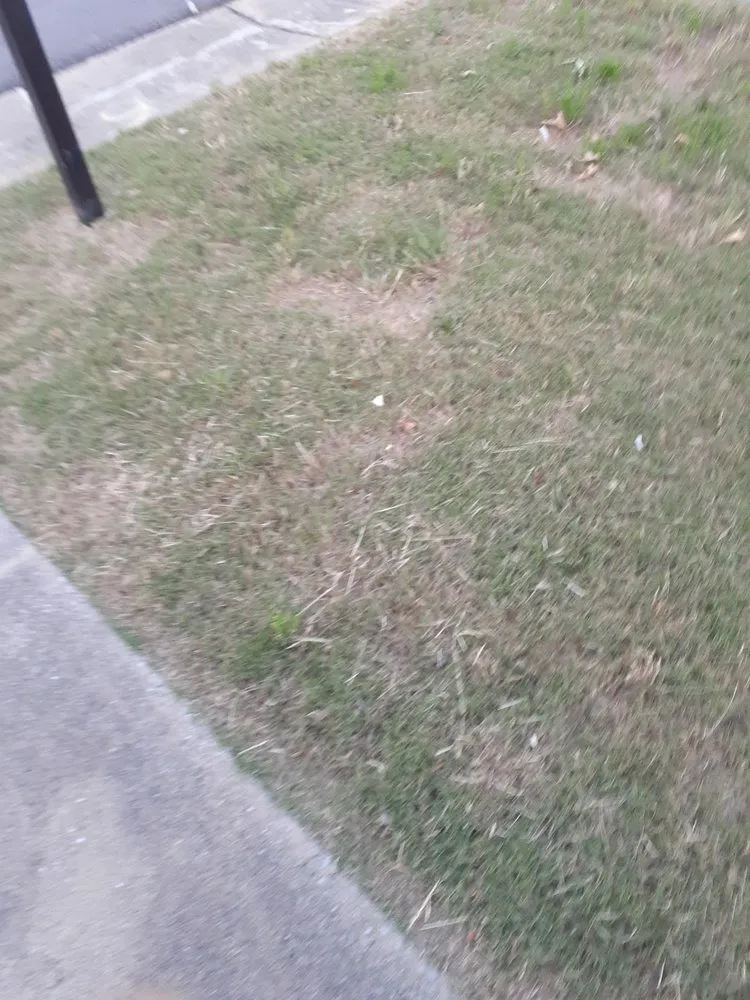 Professional lawn mowing service in Birmingham, AL by Lawn Love Lawn Care