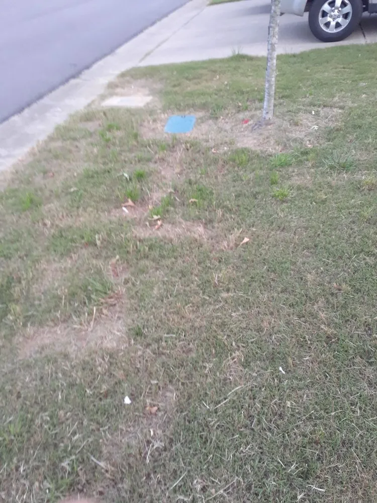 Top-rated lawn mowing service for residential properties across Birmingham, AL - Lawn Love Lawn Care