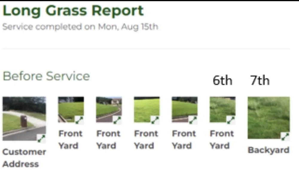 Affordable landscape design experts serving Birmingham, AL - Lawn Love Lawn Care