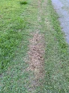 Reliable garden landscaping in Birmingham, AL - Lawn Love Lawn Care