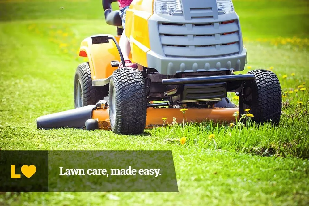 Custom lawn care service experts serving Buffalo, NY - Lawn Love Lawn Care