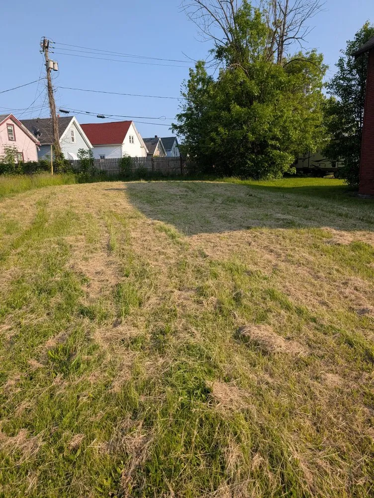 Professional yard cleanup service in Buffalo, NY by Lawn Love Lawn Care