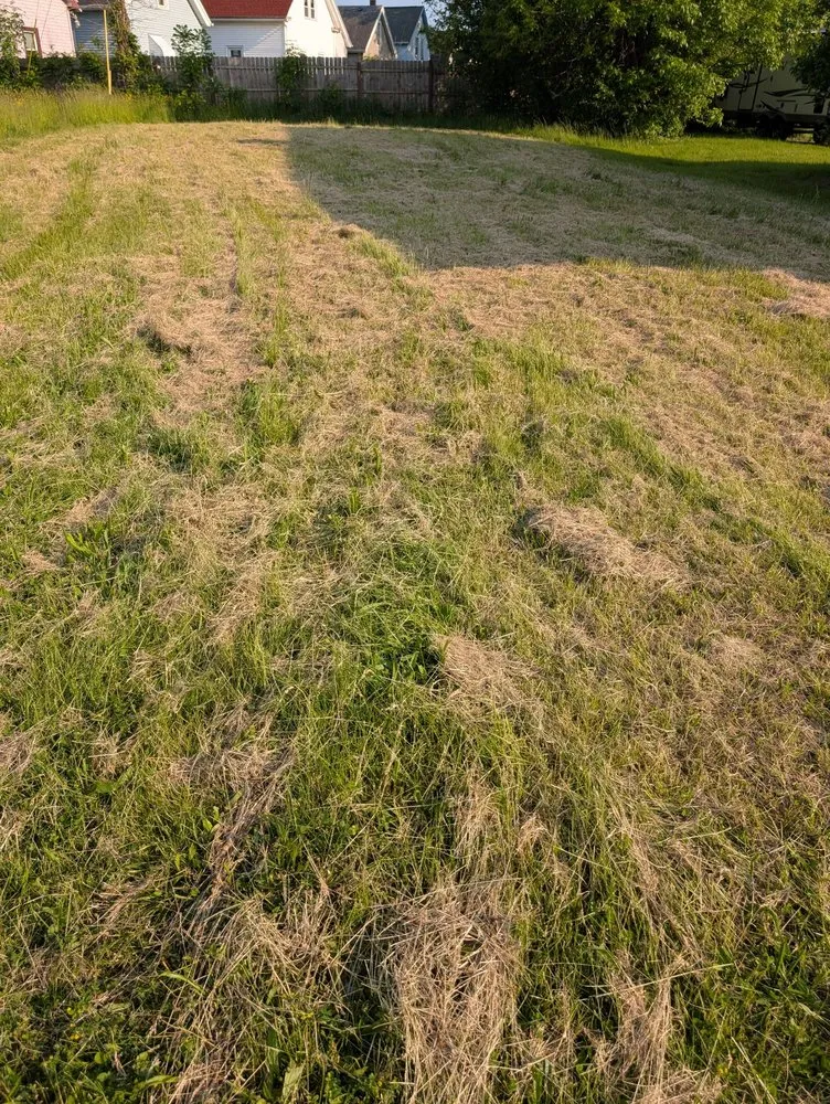 Reliable landscaping services in Buffalo, NY - Lawn Love Lawn Care