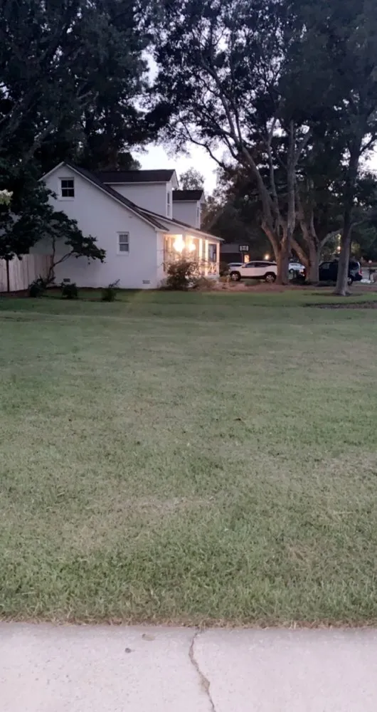 Local landscaping services for outdoor upgrades across Charleston, SC - Lawn Love Lawn Care