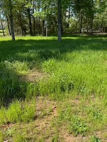 Top-rated landscaping services in Charlotte, NC - Lawn Love Lawn Care