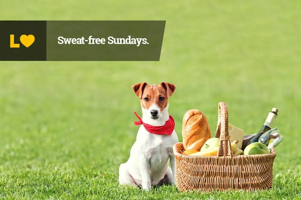 Local lawn mowing service in Cincinnati, OH - Lawn Love Lawn Care