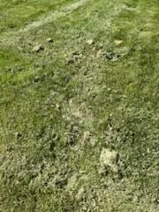 Trusted yard maintenance for year-round maintenance in Columbus, OH by Lawn Love Lawn Care