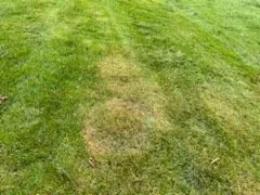 Professional outdoor landscaping for residential properties in Columbus, OH by Lawn Love Lawn Care