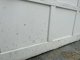 Professional yard maintenance in Columbus, OH by Lawn Love Lawn Care