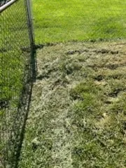 Reliable garden landscaping in Columbus, OH - Lawn Love Lawn Care