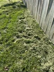 Top-rated garden landscaping experts serving Columbus, OH - Lawn Love Lawn Care