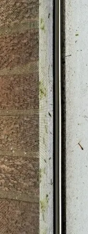 Affordable landscaping services near you across Columbus, OH - Lawn Love Lawn Care