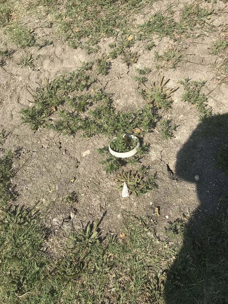 Reliable residential landscaping in Dallas, TX - Lawn Love Lawn Care