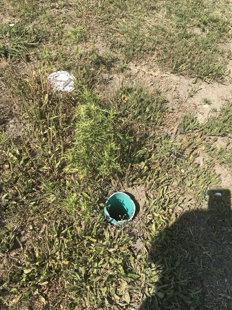 Top-rated landscape installation experts serving Dallas, TX - Lawn Love Lawn Care