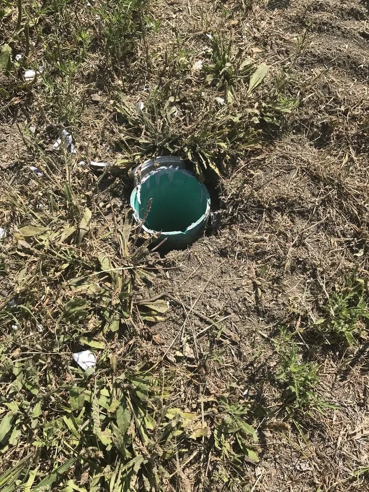 Custom lawn mowing service in Dallas, TX - Lawn Love Lawn Care