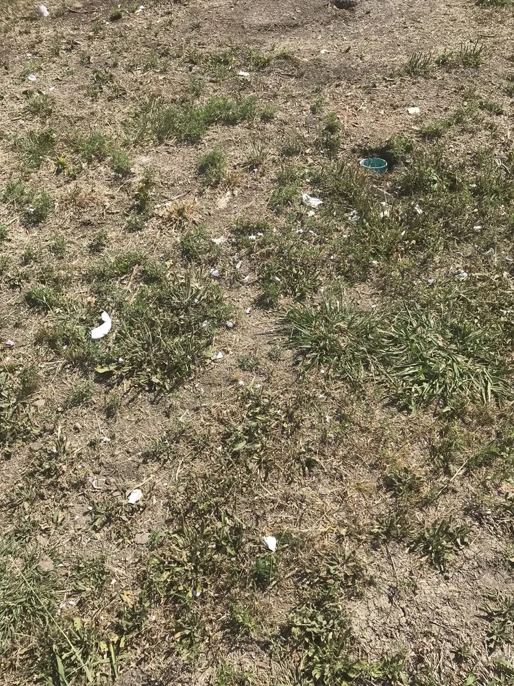 Local residential landscaping with custom design across Dallas, TX - Lawn Love Lawn Care