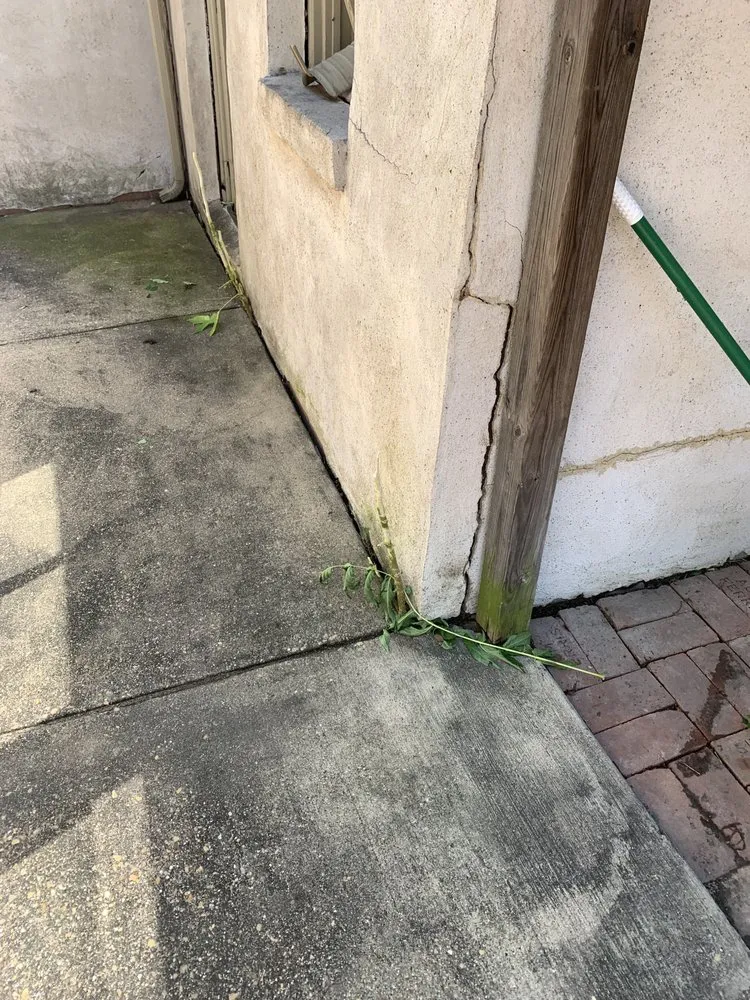 Reliable yard maintenance with custom design in Dallas, TX by Lawn Love Lawn Care