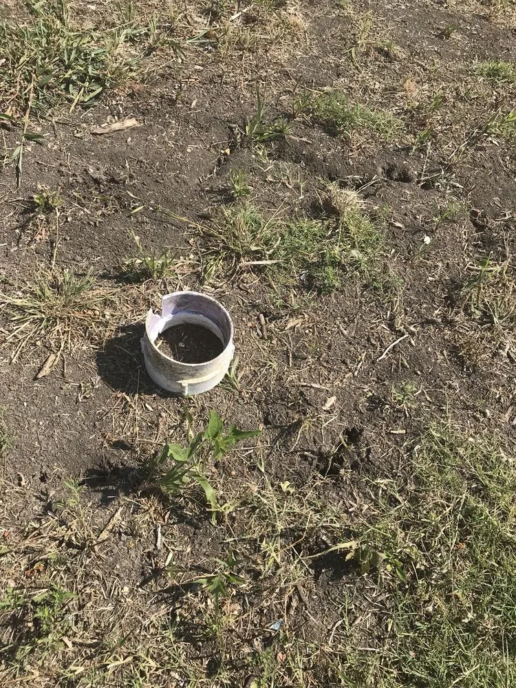 Affordable landscaping services in Dallas, TX - Lawn Love Lawn Care