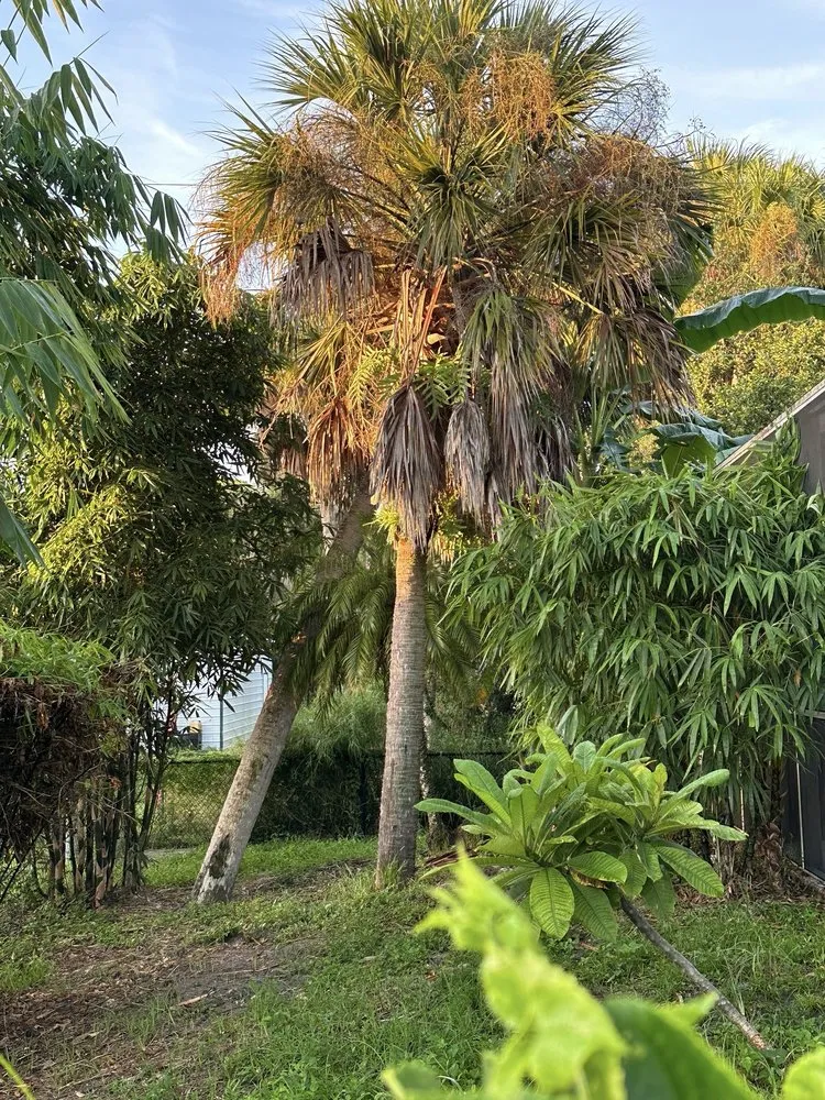 Affordable garden landscaping for outdoor upgrades in Fort Myers, FL by Lawn Love Lawn Care