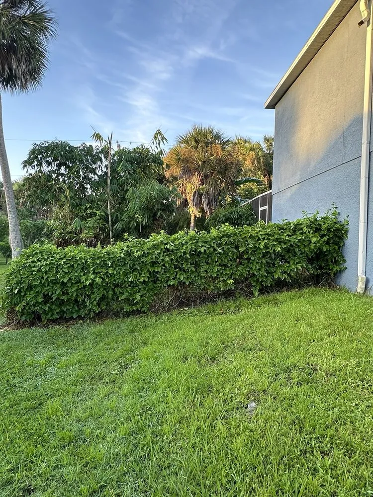 Custom lawn mowing service experts serving Fort Myers, FL - Lawn Love Lawn Care