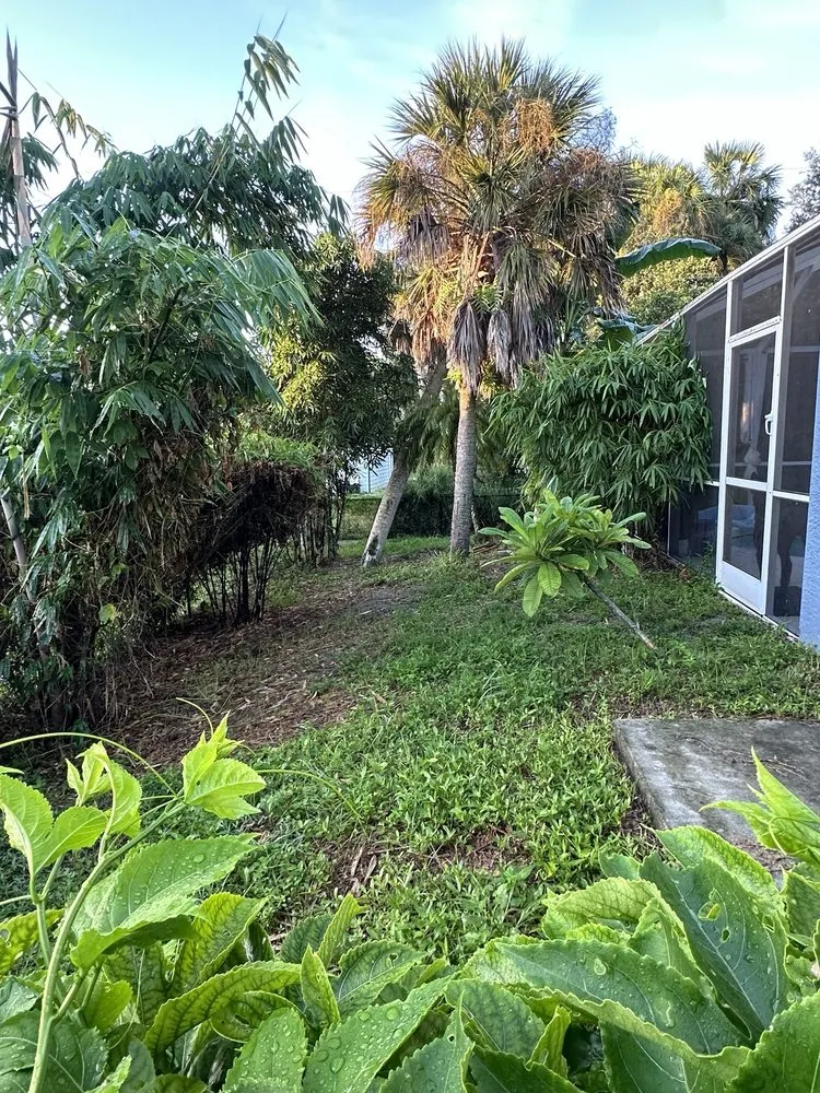 Trusted outdoor landscaping in Fort Myers, FL - Lawn Love Lawn Care