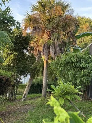 Lawn Love Lawn Care Logo