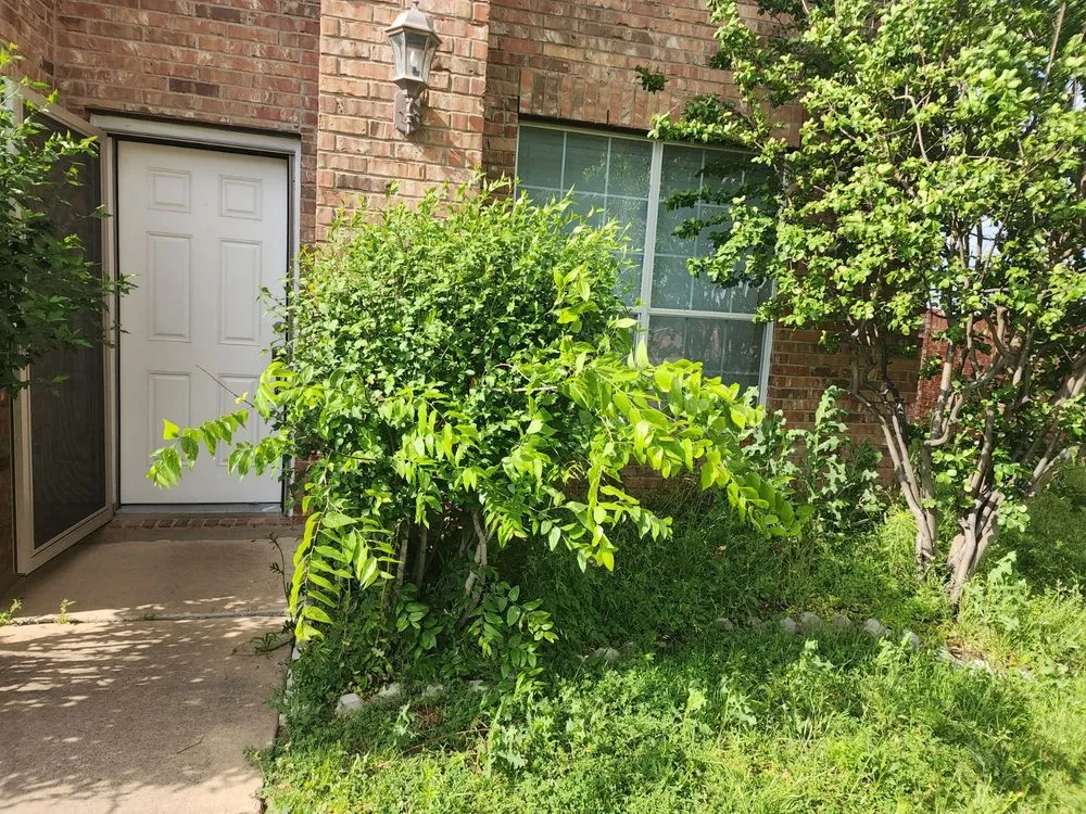 Trusted outdoor landscaping for homes across Fort Worth, TX - Lawn Love Lawn Care