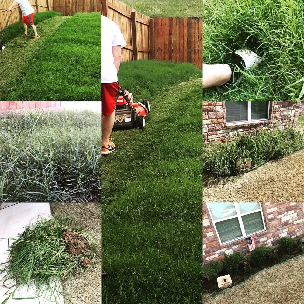 Top-rated landscape installation for outdoor upgrades across Fort Worth, TX - Lawn Love Lawn Care