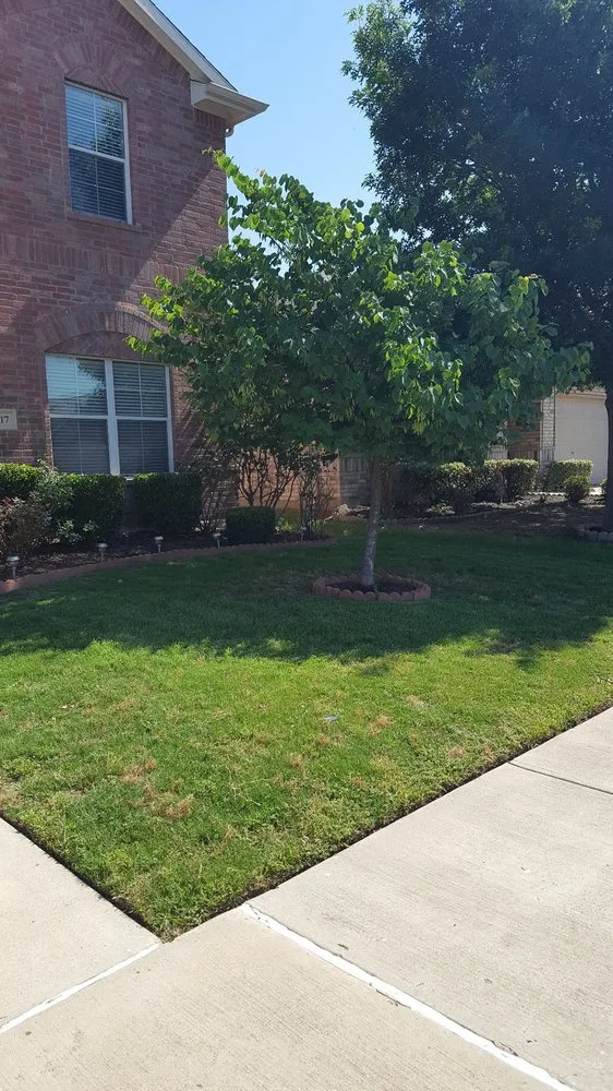 Reliable yard maintenance in Fort Worth, TX - Lawn Love Lawn Care