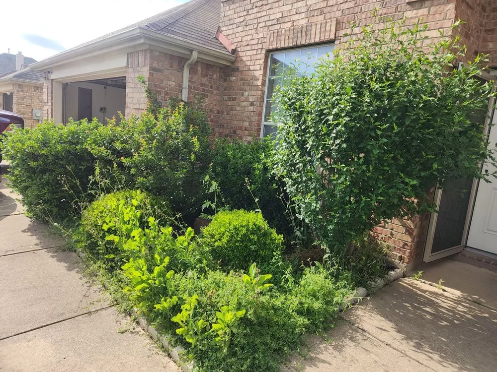 Top-rated outdoor landscaping for year-round maintenance across Fort Worth, TX - Lawn Love Lawn Care