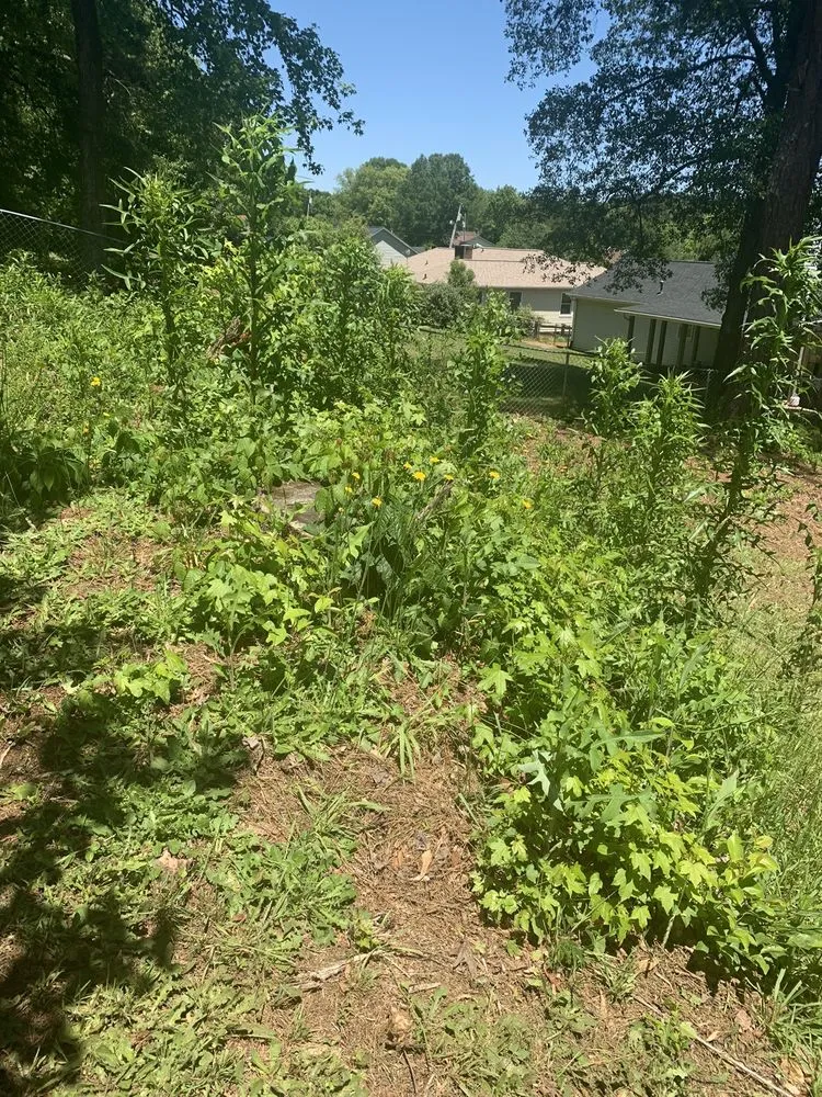 Local garden landscaping experts serving Greenville, SC - Lawn Love Lawn Care