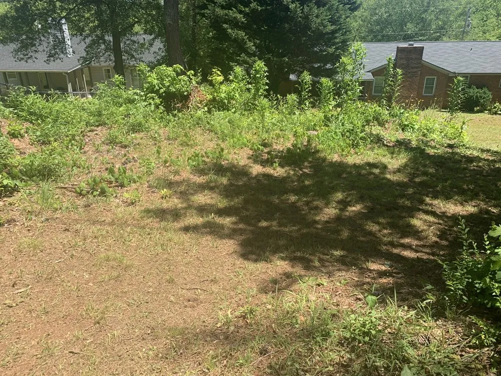 Expert outdoor landscaping experts serving Greenville, SC - Lawn Love Lawn Care