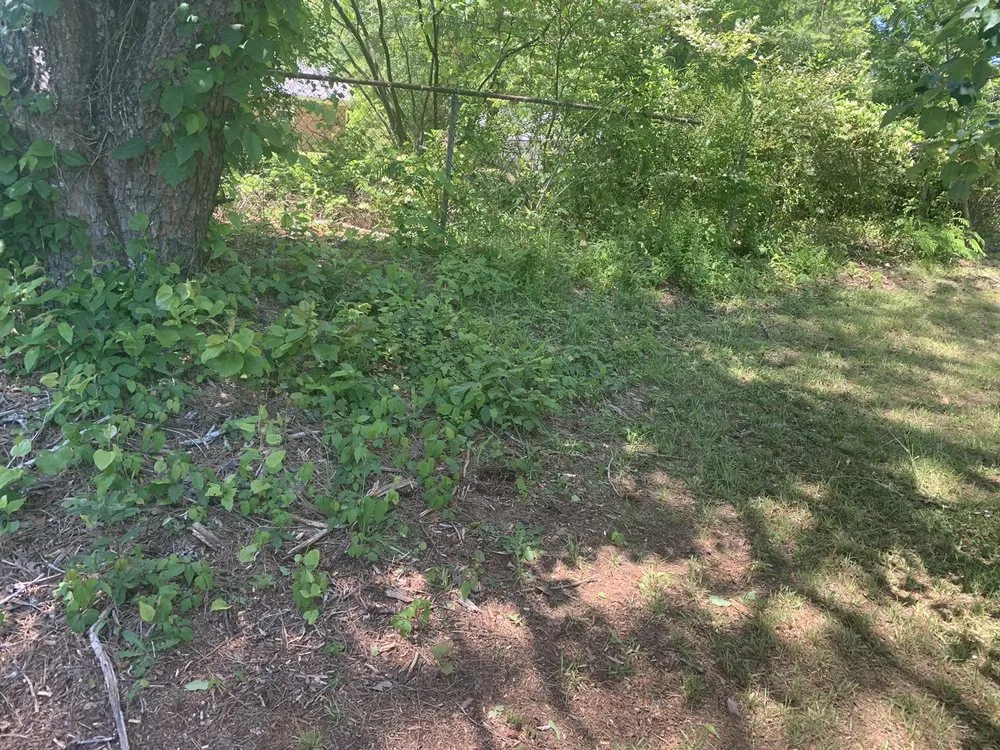 Local yard cleanup service in Greenville, SC by Lawn Love Lawn Care