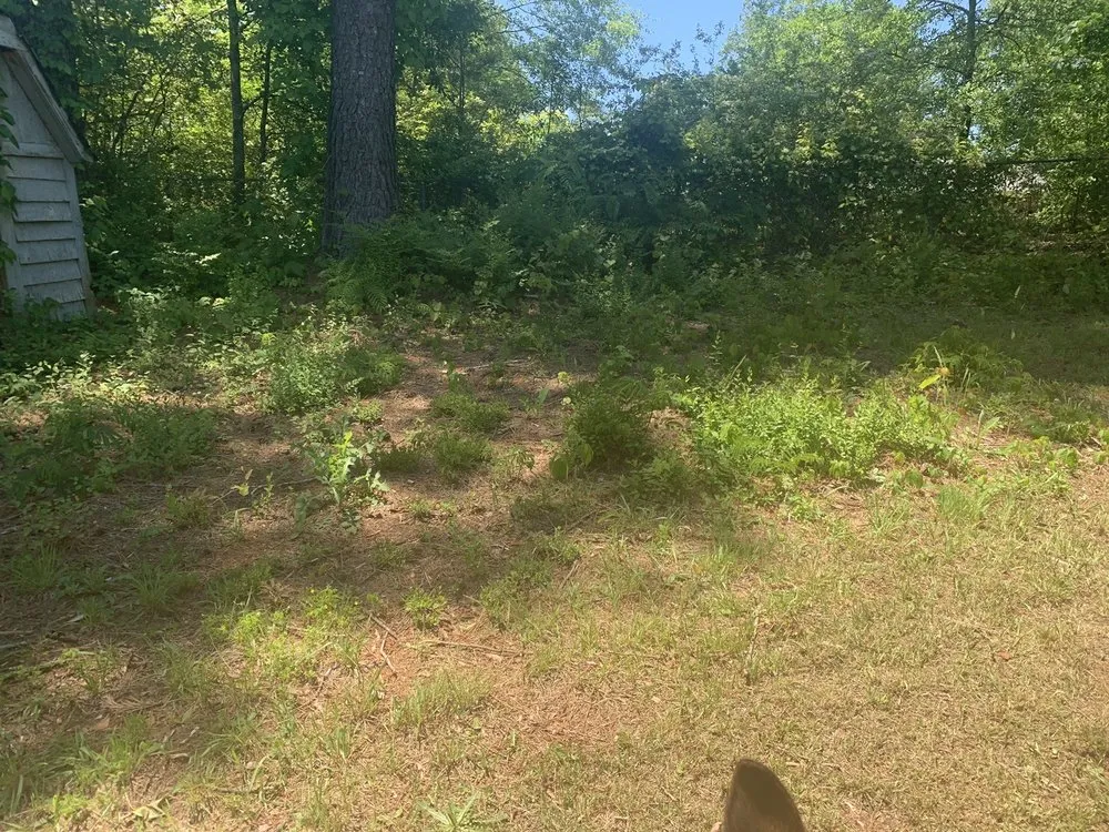 Top-rated landscape installation for outdoor upgrades across Greenville, SC - Lawn Love Lawn Care