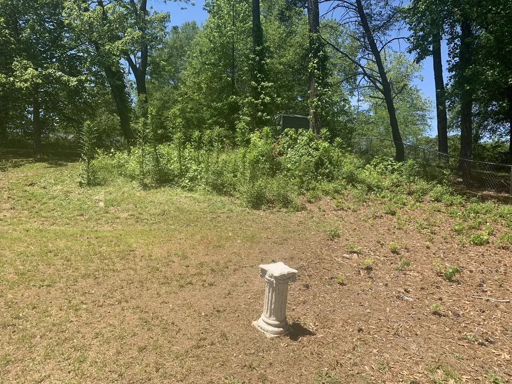 Expert lawn mowing service for homes in Greenville, SC by Lawn Love Lawn Care