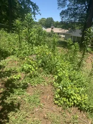 Lawn Love Lawn Care Logo