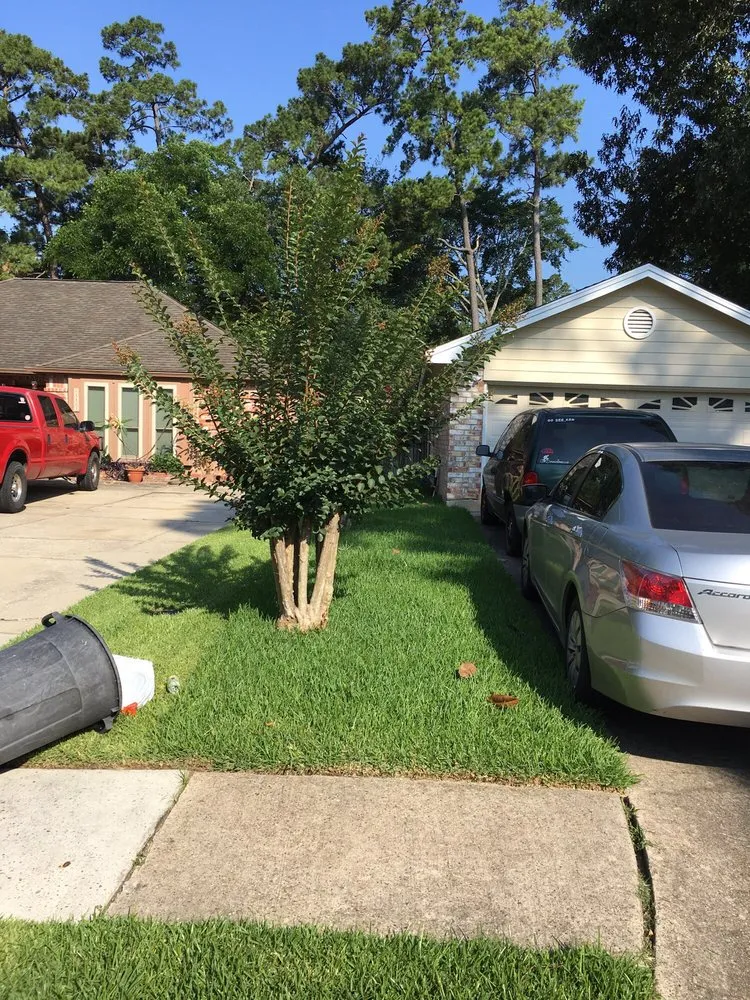 Local garden landscaping in Houston, TX by Lawn Love Lawn Care