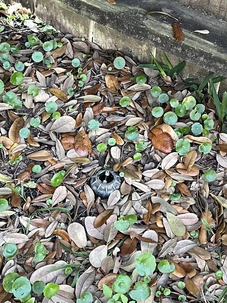 Top-rated residential landscaping in Houston, TX by Lawn Love Lawn Care