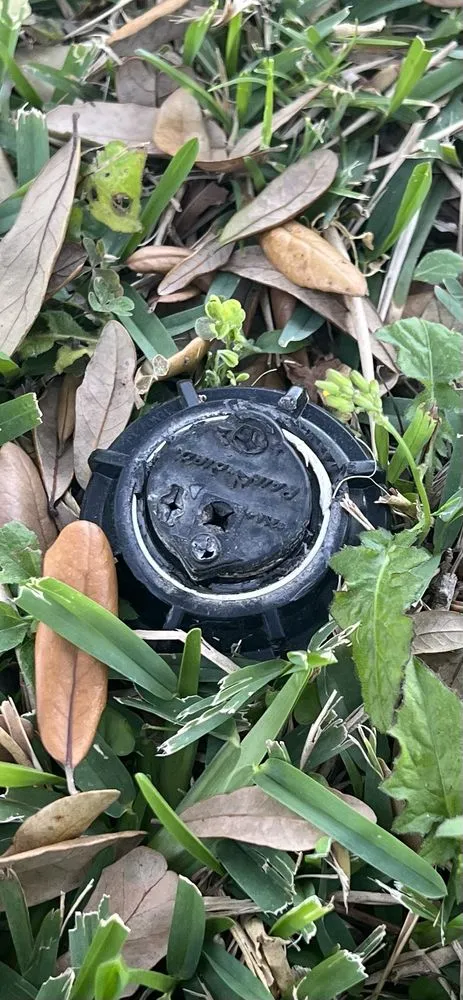 Local yard maintenance experts serving Houston, TX - Lawn Love Lawn Care