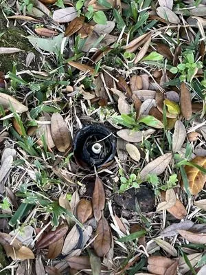 Lawn Love Lawn Care Logo