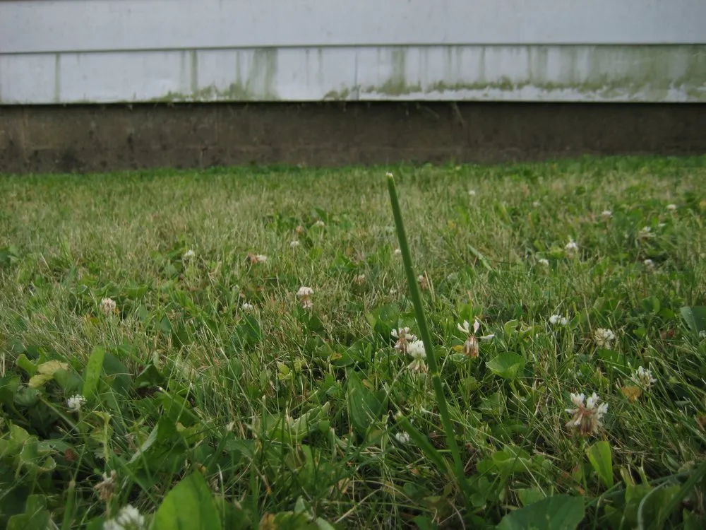 Reliable landscape design experts serving Indianapolis, IN - Lawn Love Lawn Care