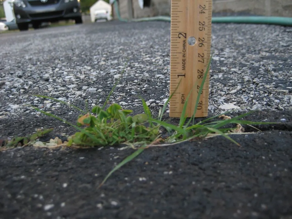 Local landscape design in Indianapolis, IN by Lawn Love Lawn Care