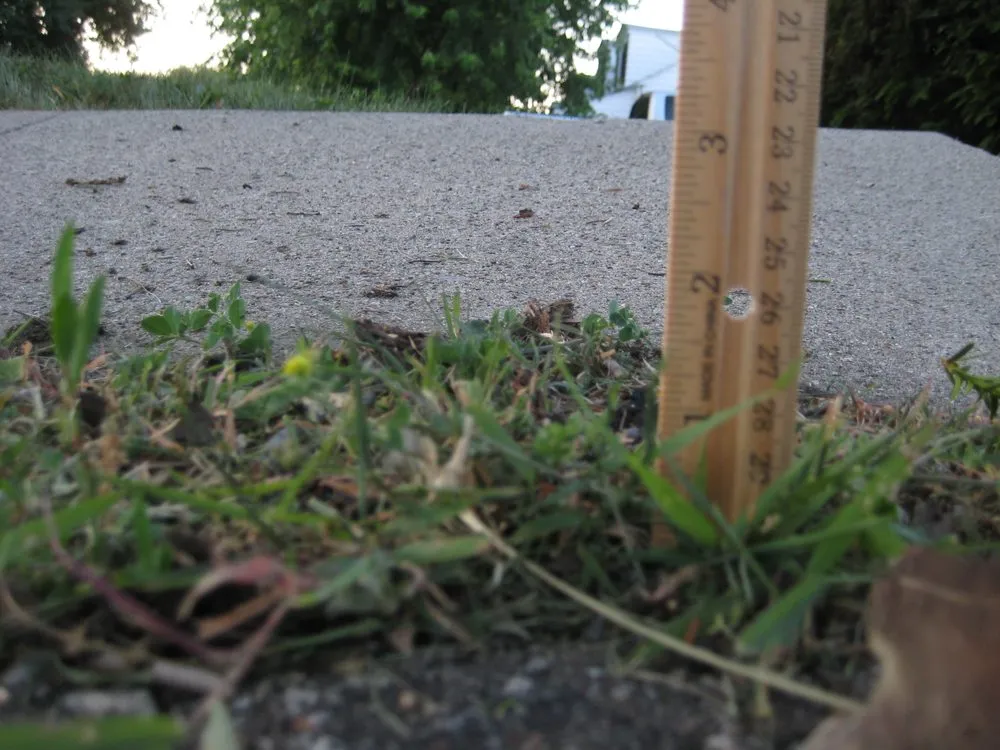 Affordable landscape installation for outdoor upgrades across Indianapolis, IN - Lawn Love Lawn Care