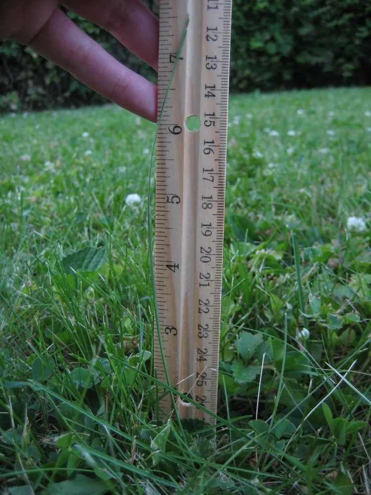 Custom landscape design for year-round maintenance in Indianapolis, IN by Lawn Love Lawn Care